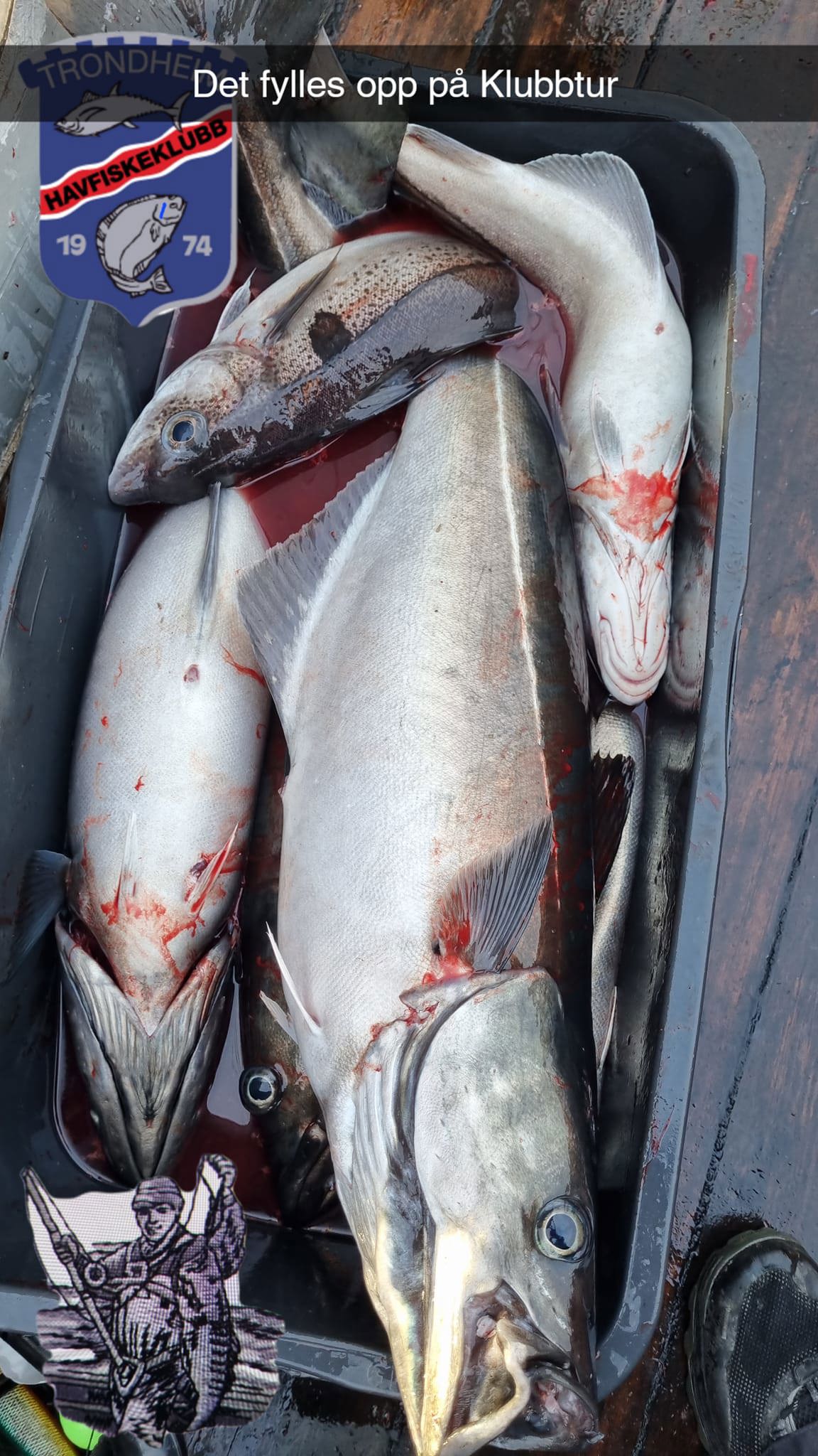 Klubbtur 9. november